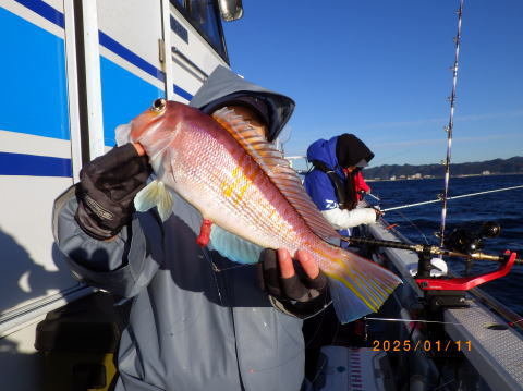 アマダイ(アカアマダイ)