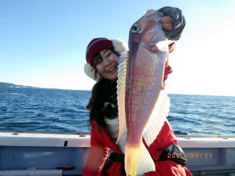 アマダイ(アカアマダイ)