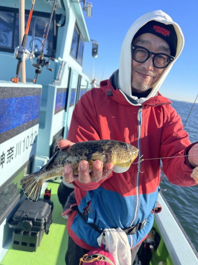 フグ(アカメフグ)