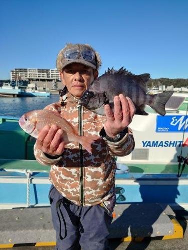 マダイ・イシダイ