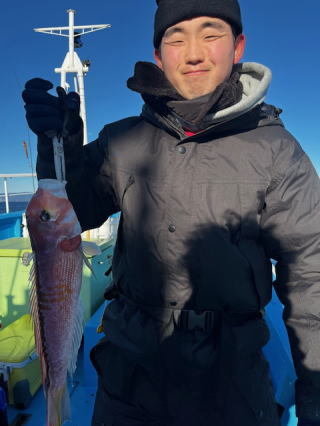 アマダイ(アカアマダイ)