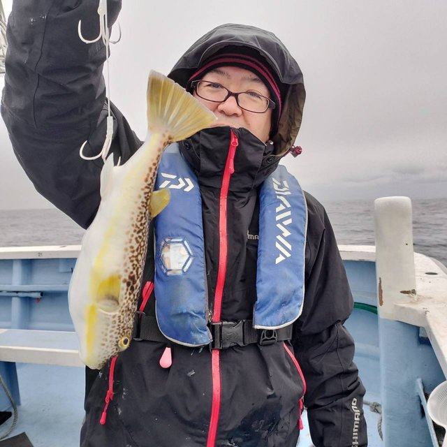 ショウサイフグ