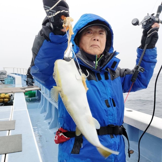 ショウサイフグ