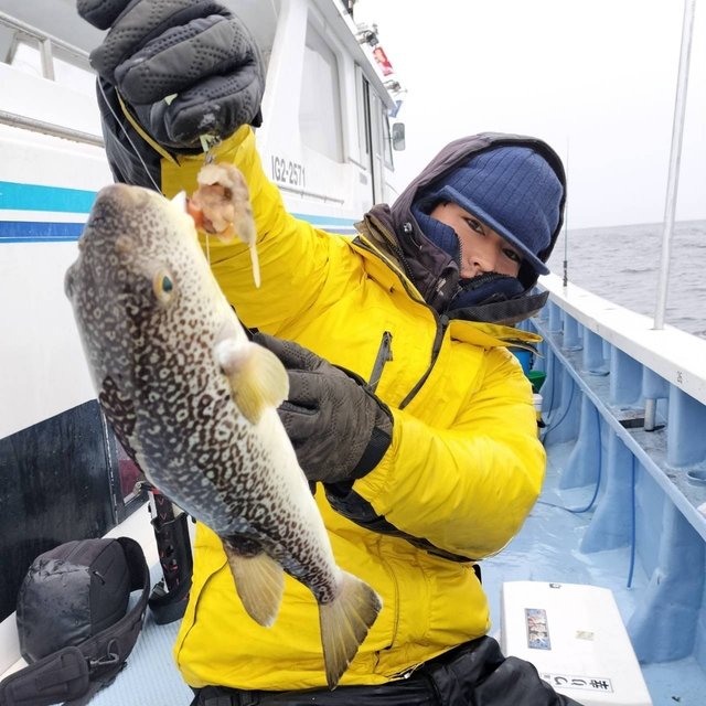 ショウサイフグ