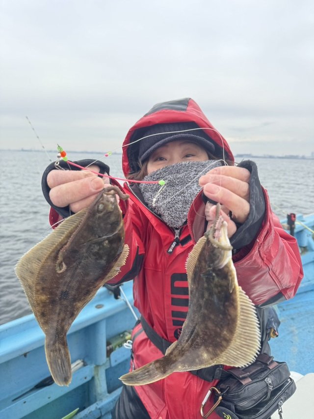 カレイ(マコガレイ)