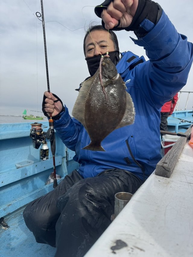 カレイ(マコガレイ)