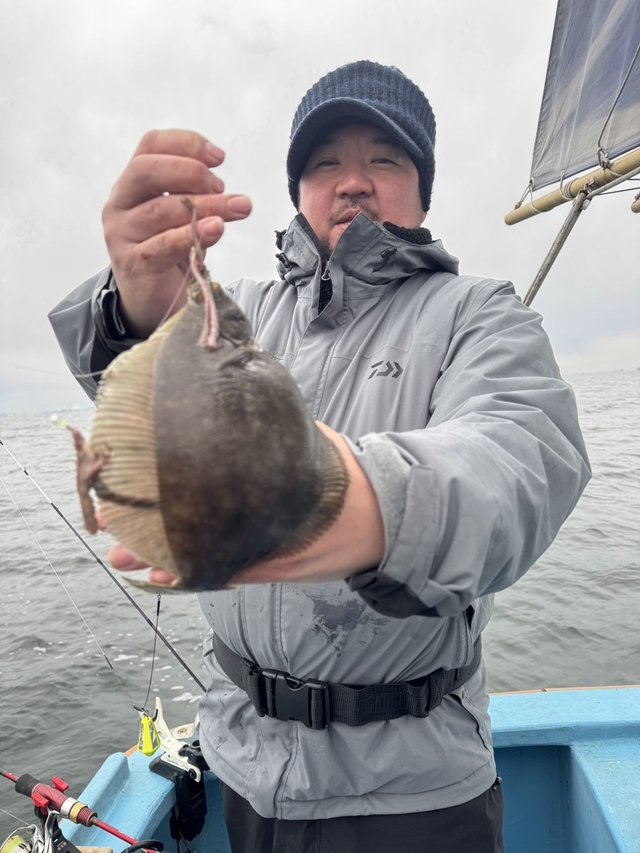 カレイ(マコガレイ)