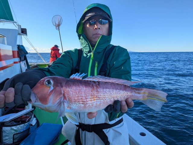 アマダイ(アカアマダイ)