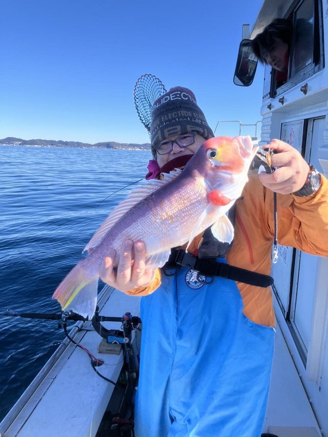 アマダイ(アカアマダイ)