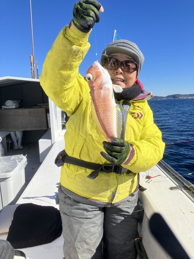 アマダイ(アカアマダイ)