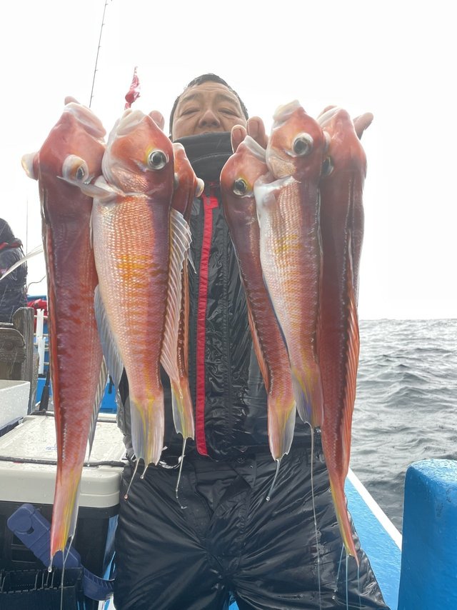 アマダイ(アカアマダイ)