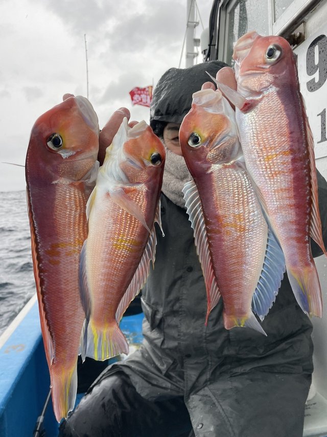 アマダイ(アカアマダイ)