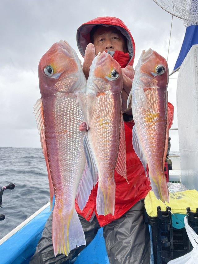 アマダイ(アカアマダイ)