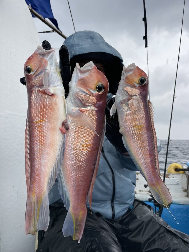 アマダイ(アカアマダイ)