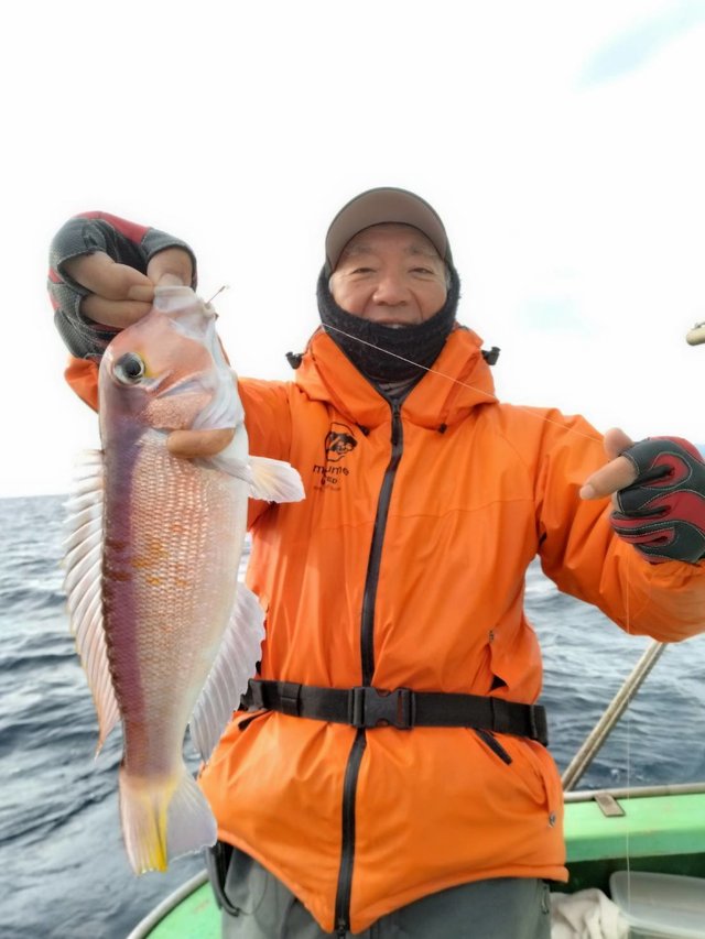 アマダイ(アカアマダイ)