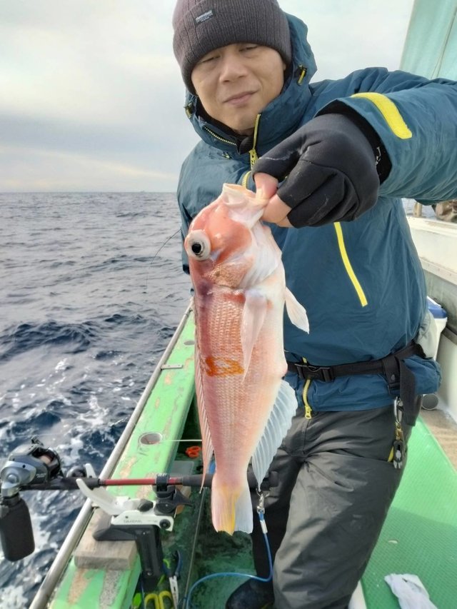 アマダイ(アカアマダイ)