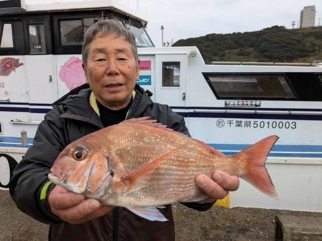 ハナダイ(チダイ)