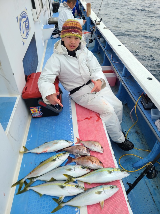 マダイ・イナダ(ブリ)