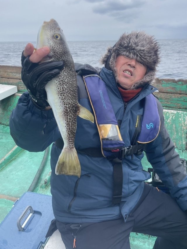 ショウサイフグ