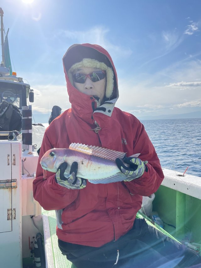 アマダイ(アカアマダイ)