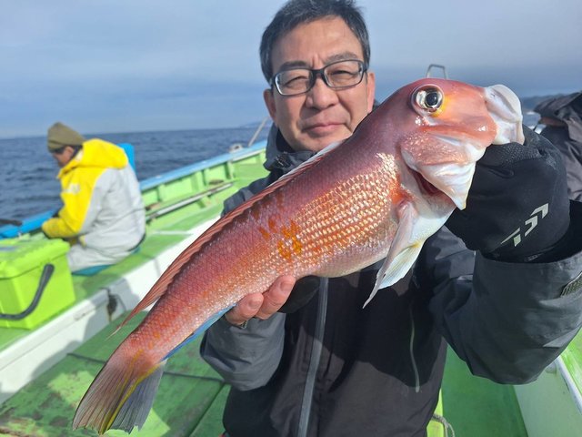 アマダイ(アカアマダイ)