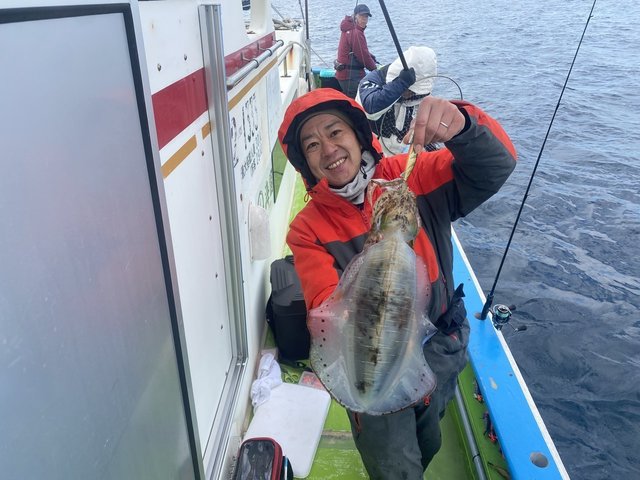 アオリ(アオリイカ)