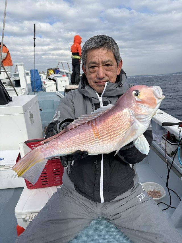 アマダイ(アカアマダイ)