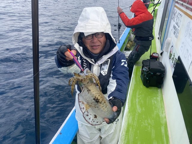 アオリ(アオリイカ)