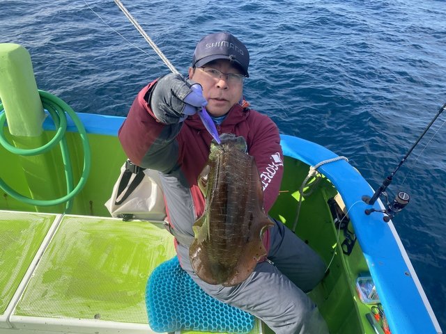 アオリ(アオリイカ)