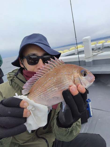 チャリコ(マダイ)