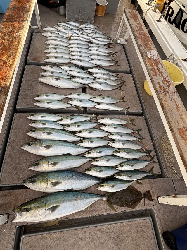 ブリ・ハマチ(ブリ)・サワラ・ヒラメ