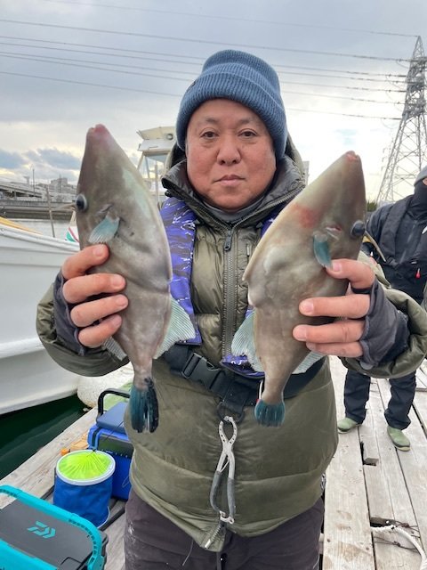 ウマヅラ(ウマヅラハギ)