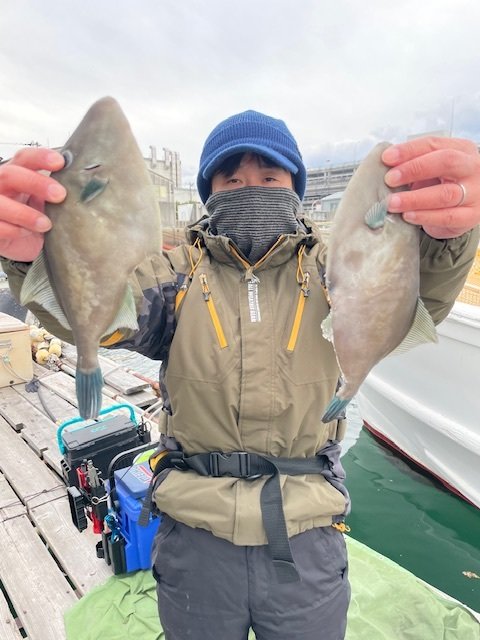 ウマヅラ(ウマヅラハギ)