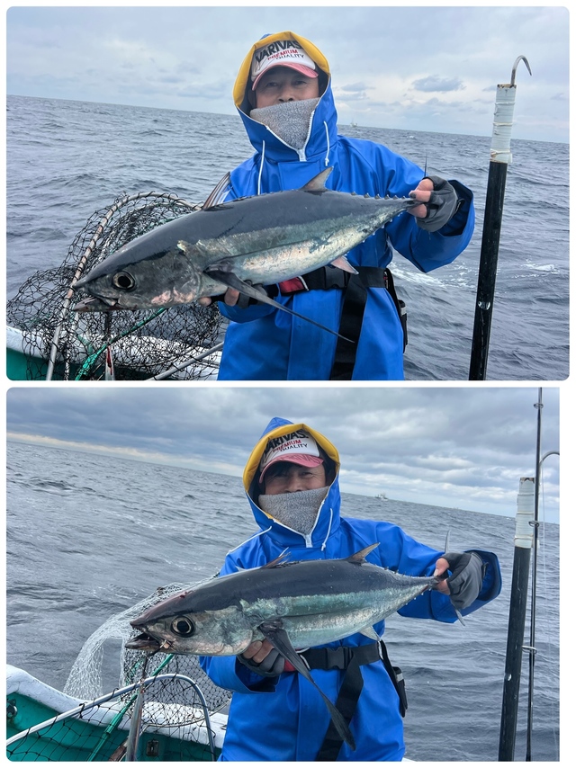 ビンチョウマグロ(ビンナガ)