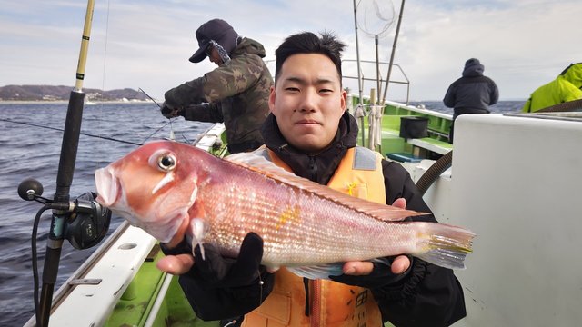 アマダイ(アカアマダイ)