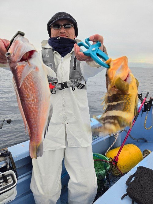 アオハタ・アマダイ(アカアマダイ)