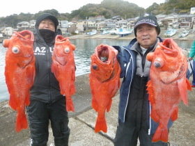 ベニアコウ(オオサガ)