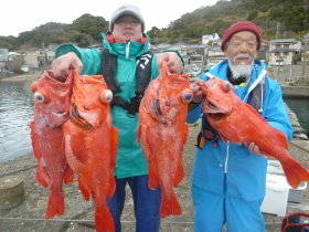 ベニアコウ(オオサガ)