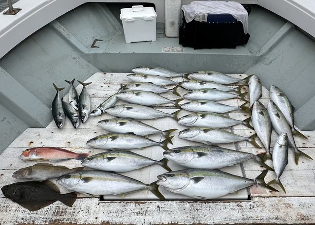 イナダ(ブリ)・ワラサ(ブリ)・ヒラマサ・アマダイ(アカアマダイ)・アイナメ・ヒラメ・サバ(ゴマサバ)