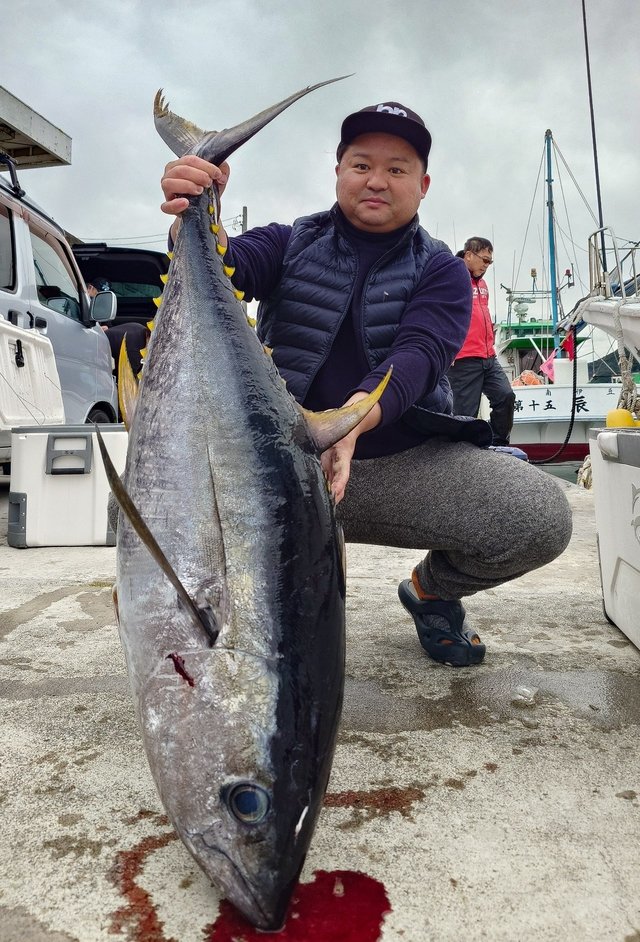 ビンチョウマグロ(ビンナガ)