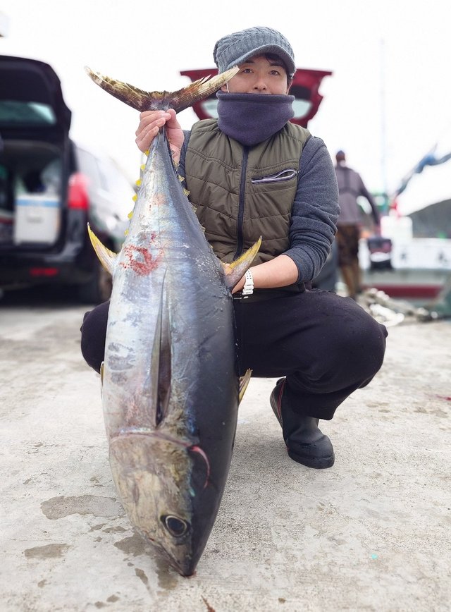 キメジ(キハダ)