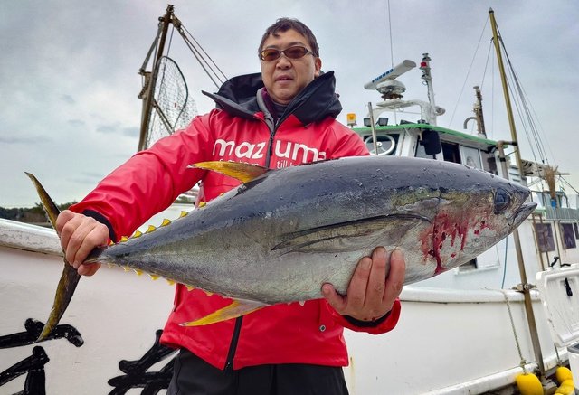 キメジ(キハダ)