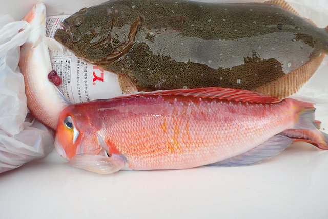 アマダイ(アカアマダイ)・ヒラメ