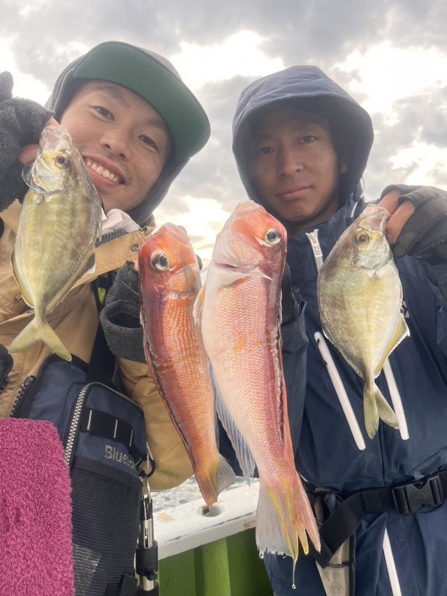 カイワリ・アマダイ(アカアマダイ)