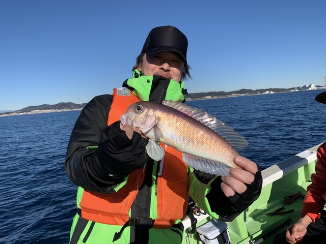 アマダイ(アカアマダイ)