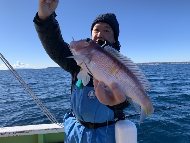 アマダイ(アカアマダイ)