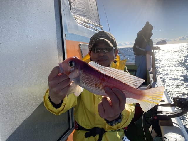 アマダイ(アカアマダイ)