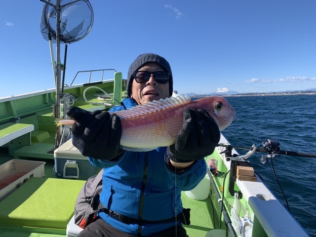 アマダイ(アカアマダイ)