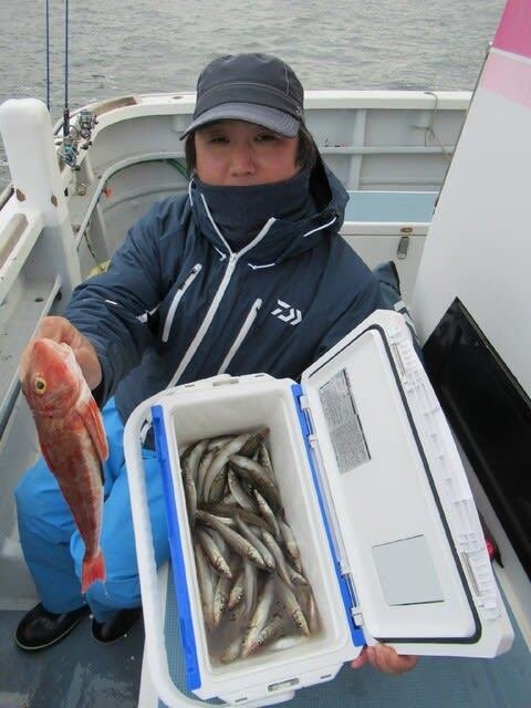 シロギス・ホウボウ