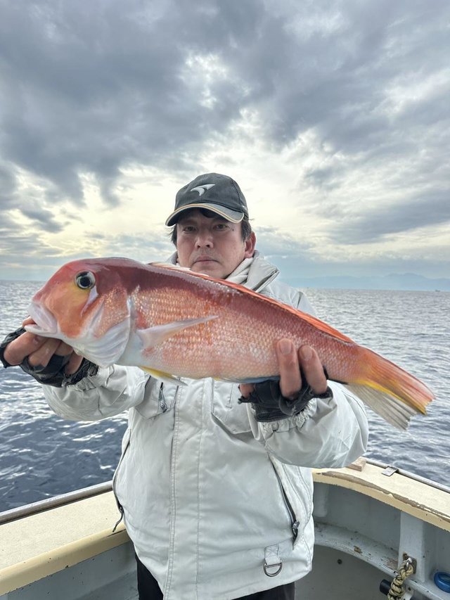 アマダイ(アカアマダイ)